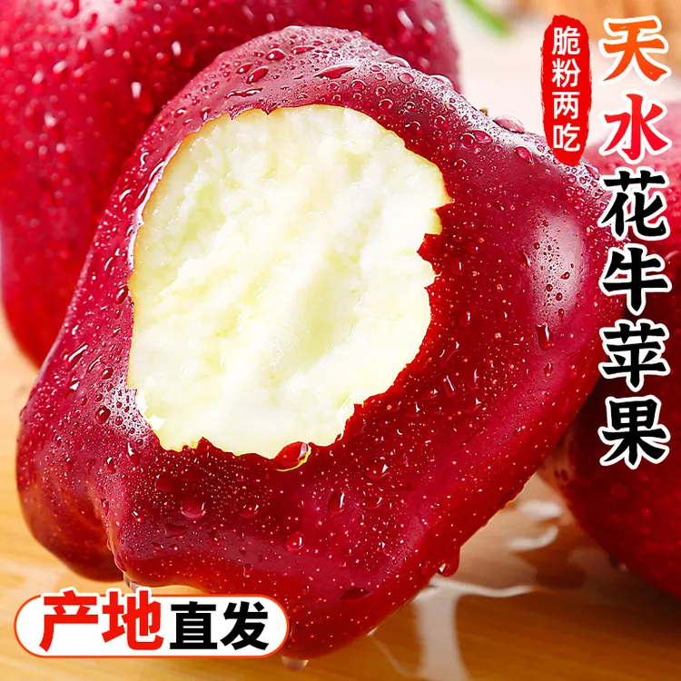 【脆粉两吃】甘肃天水花牛苹果5-9斤红蛇果新鲜水果小苹果红苹果