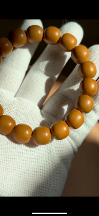 玄鼎猴头（龙炎料）老型全品