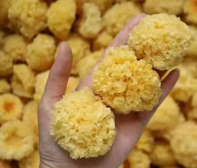 【桂和名轩】椴木小银耳+莲子