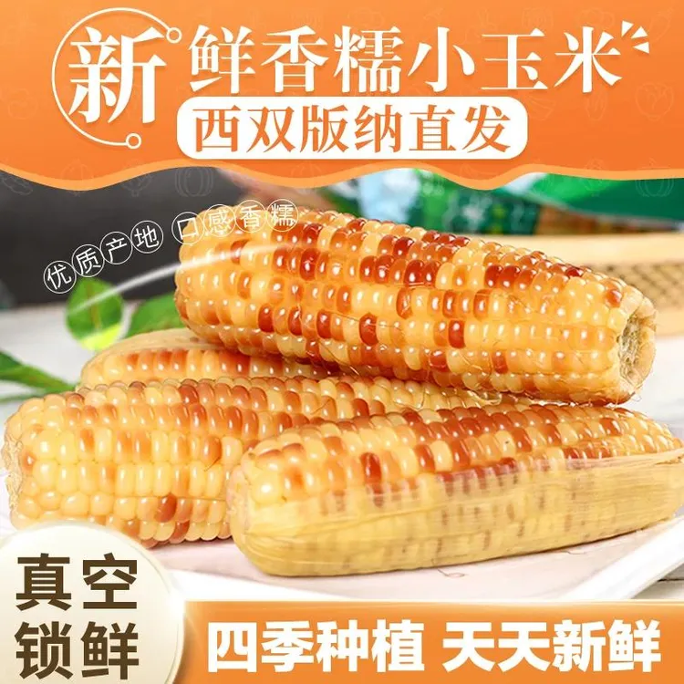 云南西双版纳香糯小玉米糯玉米甜糯正宗即食玉米棒新鲜花糯粘玉米