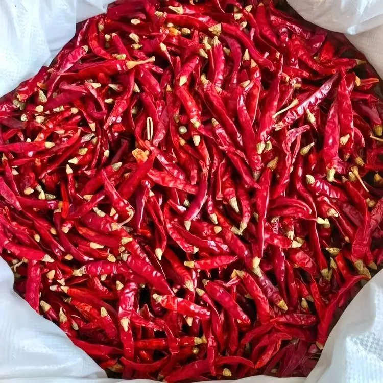 特辣 魔鬼椒 自然风干 干辣椒 朝天椒 小米辣 魔鬼辣 支持试吃