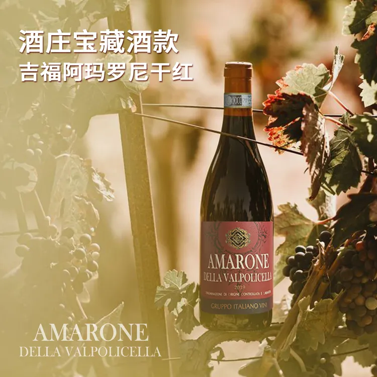 吉福阿玛罗尼意大利原瓶进口DOCG级别经典干红750ml意大利酒王