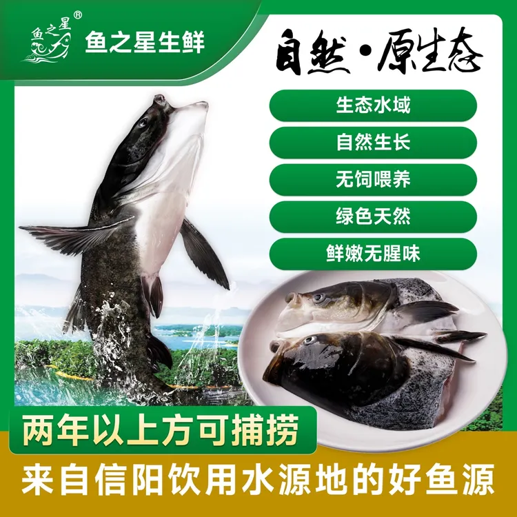 【鱼头*2个】肉质鲜嫩 无土腥味 营养丰富 100%活鱼分割 