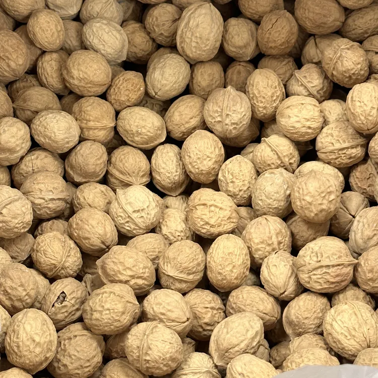 正宗新疆纸皮核桃生的原味手捏薄皮饱满