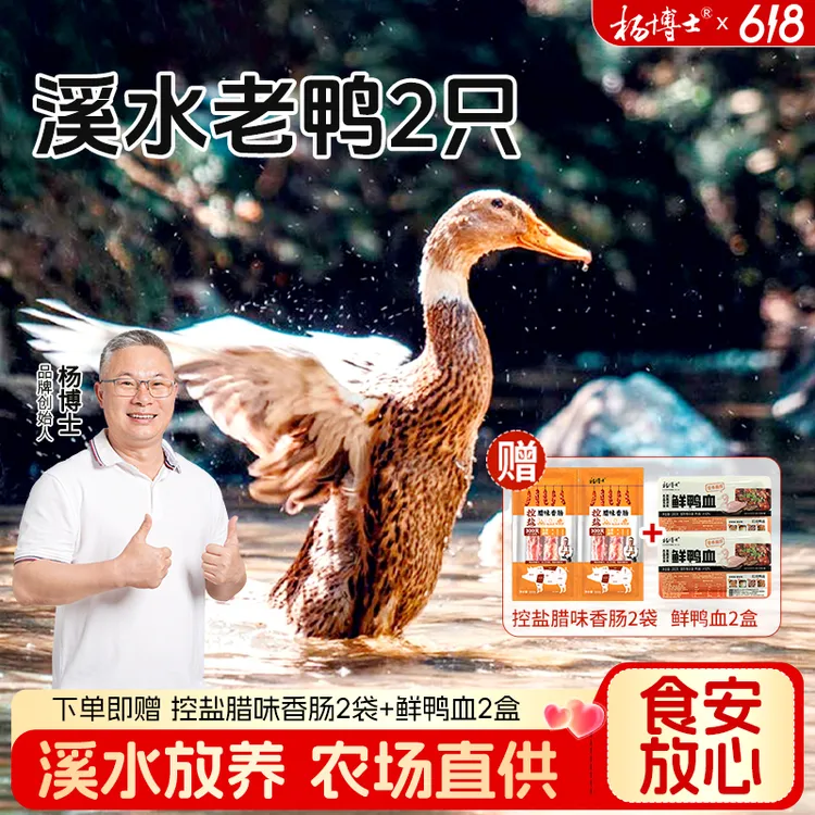 【2只溪水老鸭】杨博士皖南溪水放养500天土鸭子散养鸭子煲汤红烧商品图