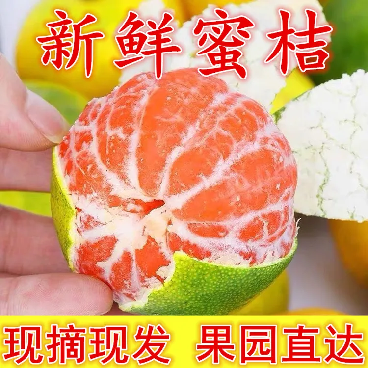 现摘宜昌蜜桔青黄皮无籽当季新鲜水果酸甜多汁农家水果桔子现摘发