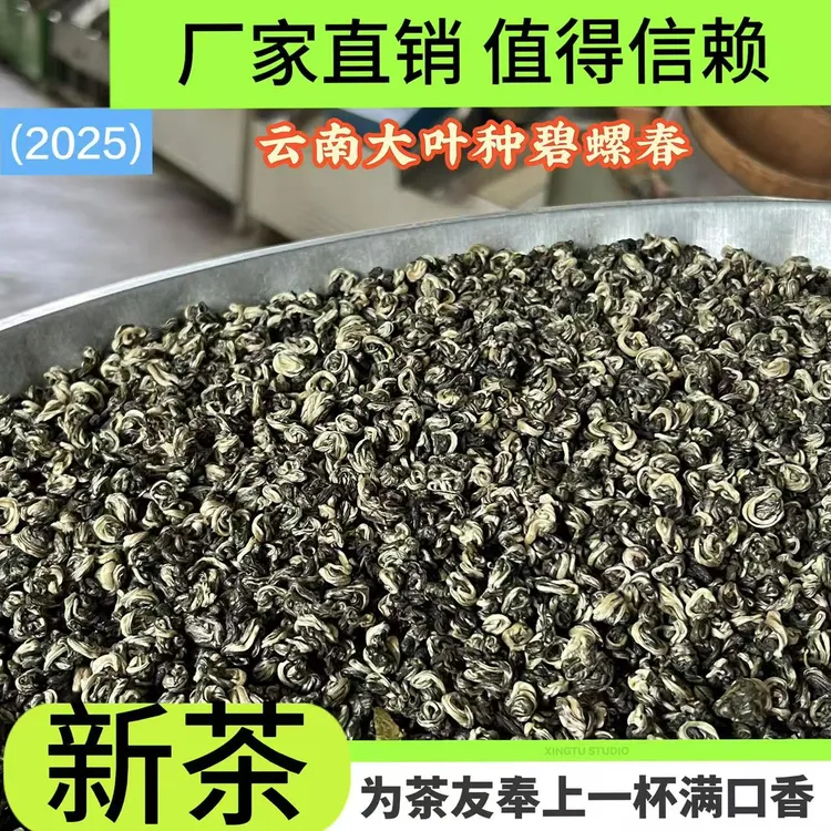 云南碧螺春 2025新茶一芽一叶浓香云南绿茶碧螺春散装500克1000克
