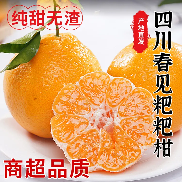 自然成熟带酸 四川正宗春见耙耙柑产区现采现发皮薄肉厚爆汁