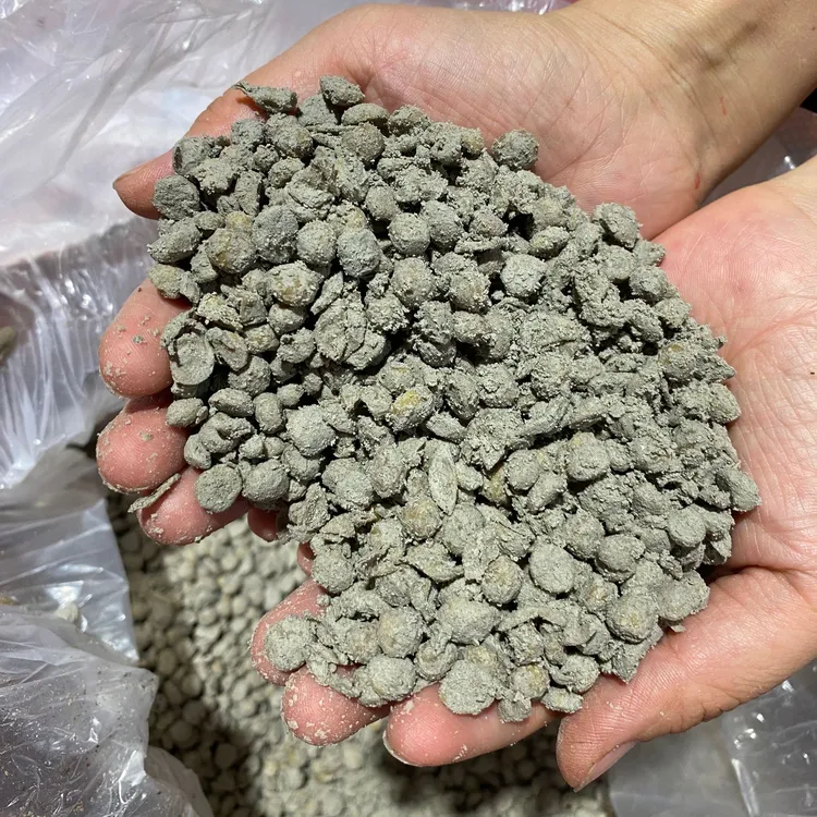 【发酵大豆】牡丹芍药特别喜欢的营养物质