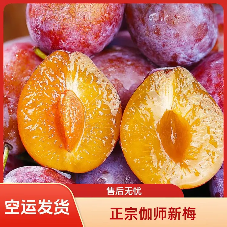 【新疆空运直发】正宗新疆现摘法兰西小西梅孕妇水果纯甜无酸