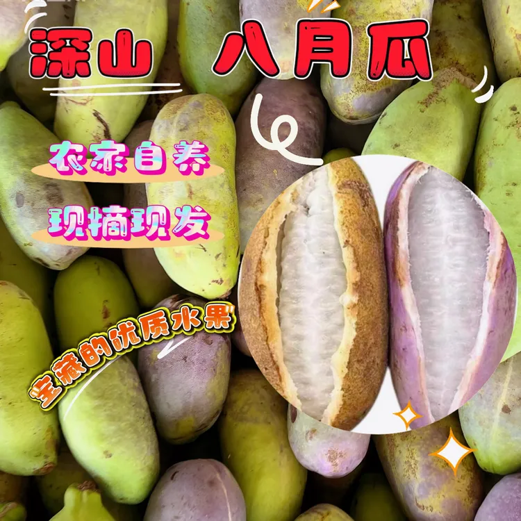 湖南道州八月瓜 软儒香甜现摘现发八月炸