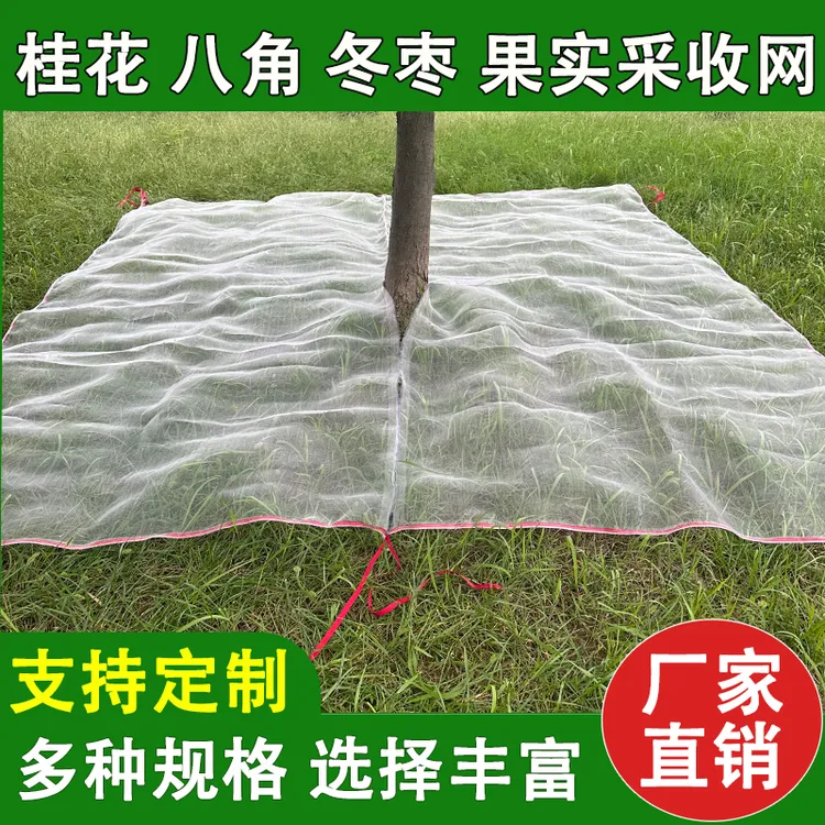 八角桂花专用铺地收集网果子青梅采收专用可包树根落地网定制