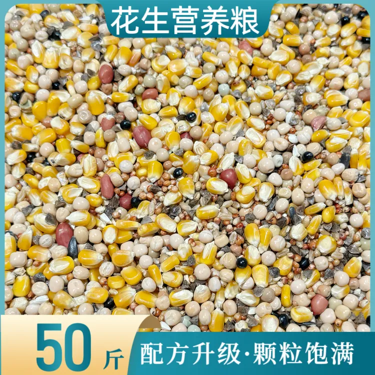 中信花生营养粮50斤种鸽肉鸽幼鸽肉鸽通用日常粮鸟食鸽子整袋包邮