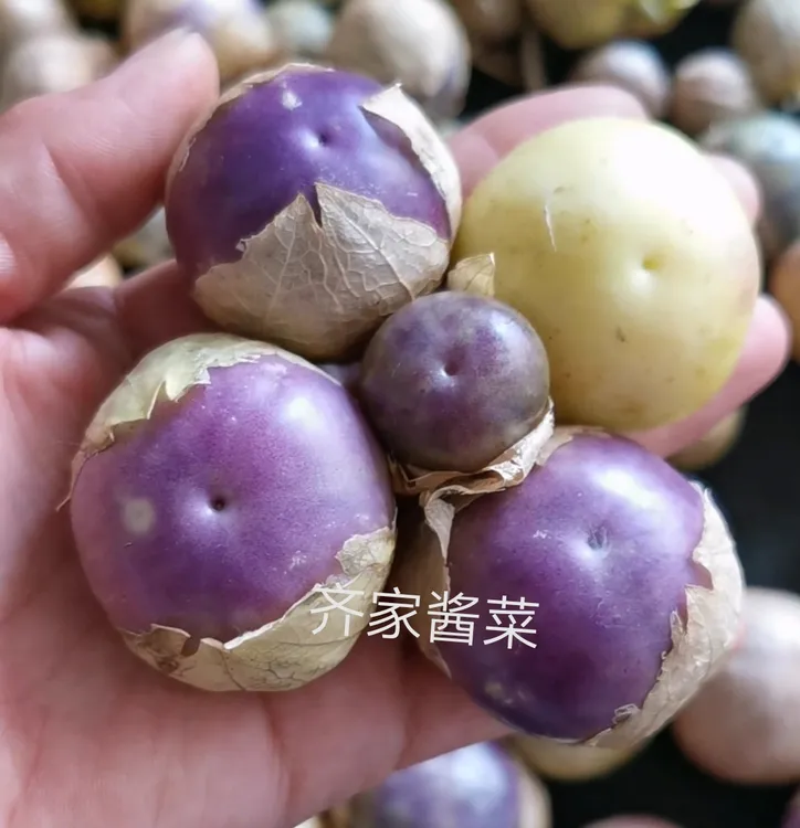 大菇娘果,紫色黄色随机发货(不好吃闹不登)小时候的情怀