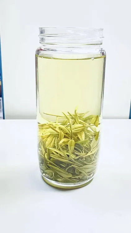 【福利款】安吉白茶 汤色透亮  鲜爽回甘