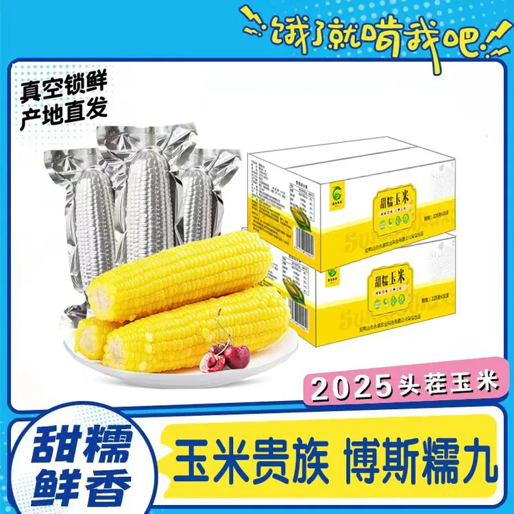【25年偏嫩糯9】新鲜黄金糯9东北甜香糯玉米低脂粗粮玉米代餐糯玉米
