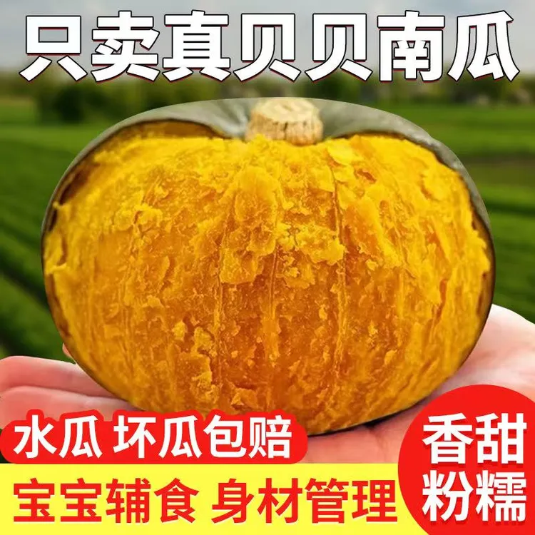 G内蒙古沙地贝贝南瓜粉糯香甜（产地直发）