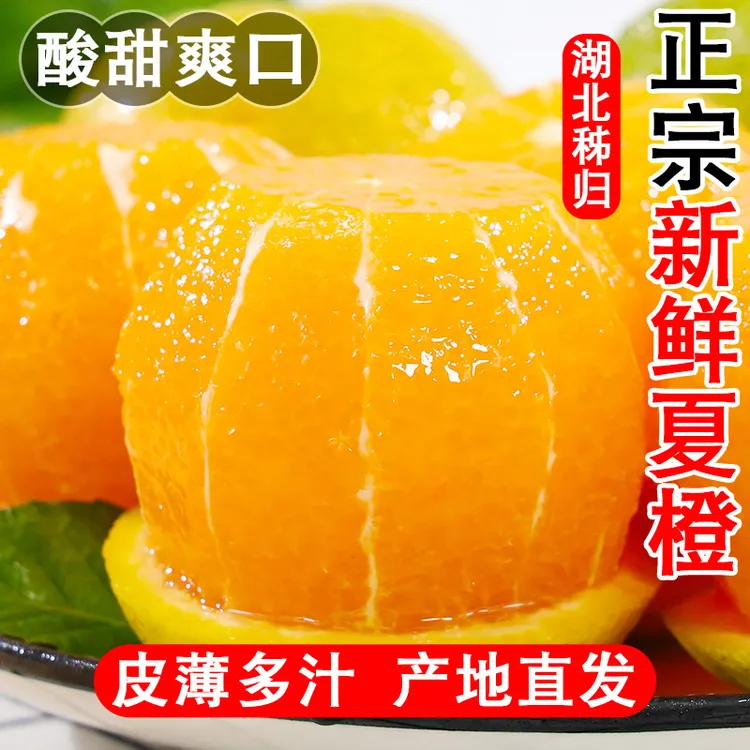 新鲜秭归夏橙5/9斤薄皮多汁酸甜橙子产地直发应季水果现摘现发
