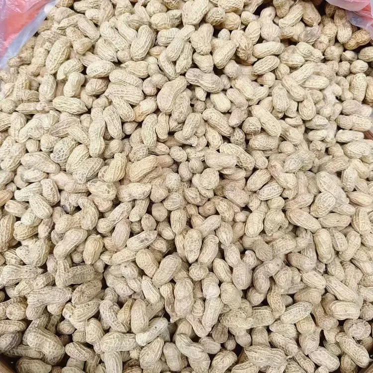 2025农家自种粉皮干花生