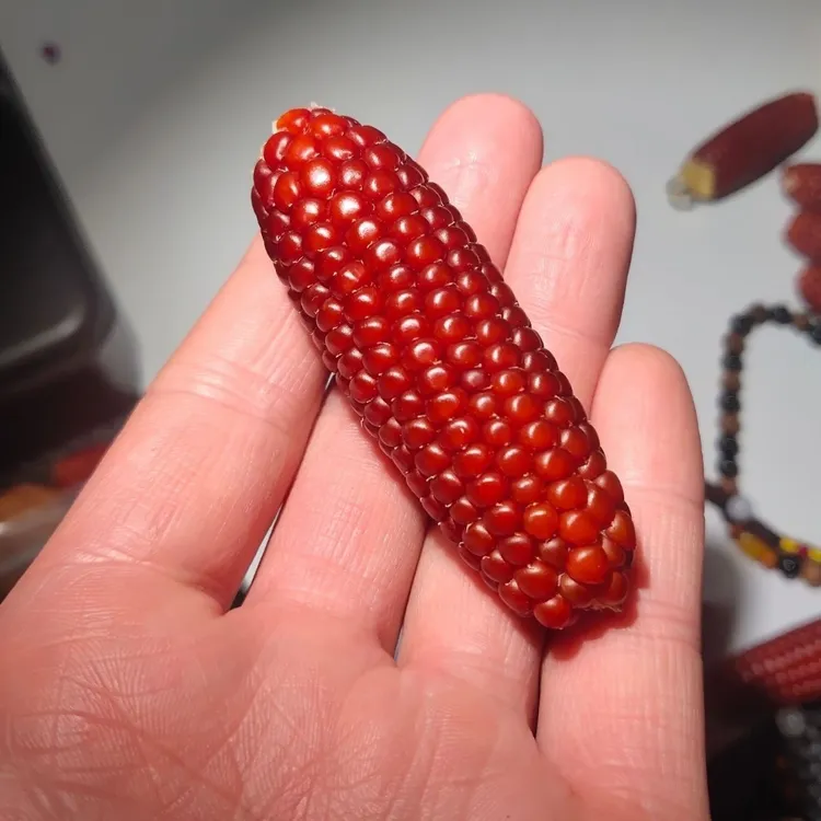 红色盘玩招财文玩小玉米种子红色迷你小红玉米种子手把件玉米盘玩