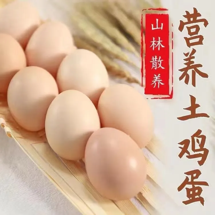 农家散儿童无抗营养中央蛋柴鹅蛋虫草蛋50枚散养鸡蛋