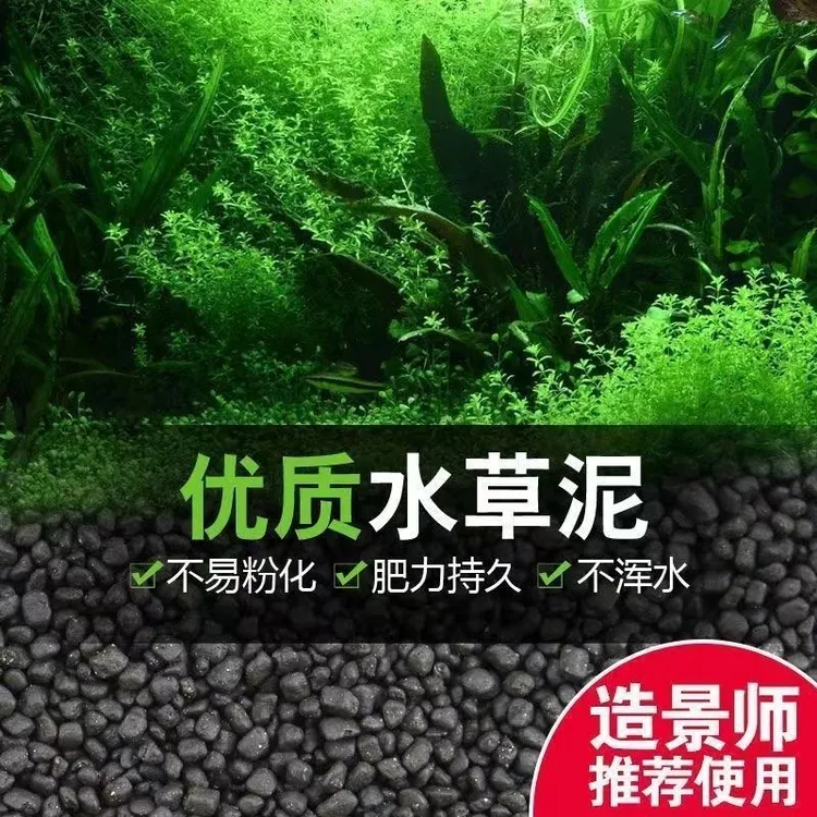 新种上市】春季水草泥陶粒砂不浑水鱼缸底砂水族造景套餐水草种子