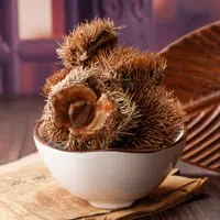 [开心滋补精选]板栗壳