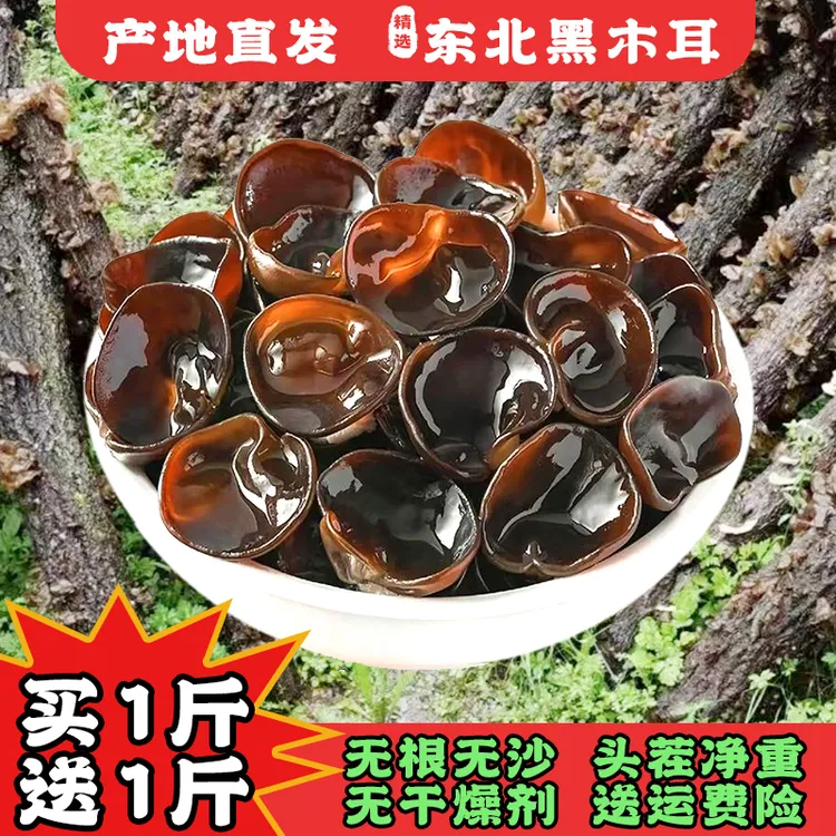 东北特产秋木耳黑木耳吉林原产地发货肉厚无根头茬秋木耳净重发货