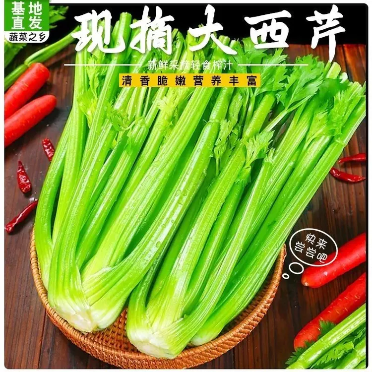 【顺丰包邮】新西芹新鲜水果芹菜蔬菜自种榨汁农家香芹优质绿色青菜