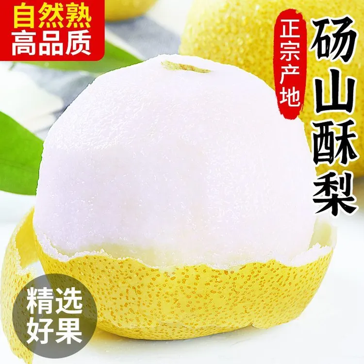 新鲜现摘砀山大梨子酥梨脆甜多汁当季头茬大果包邮新鲜脆甜口感