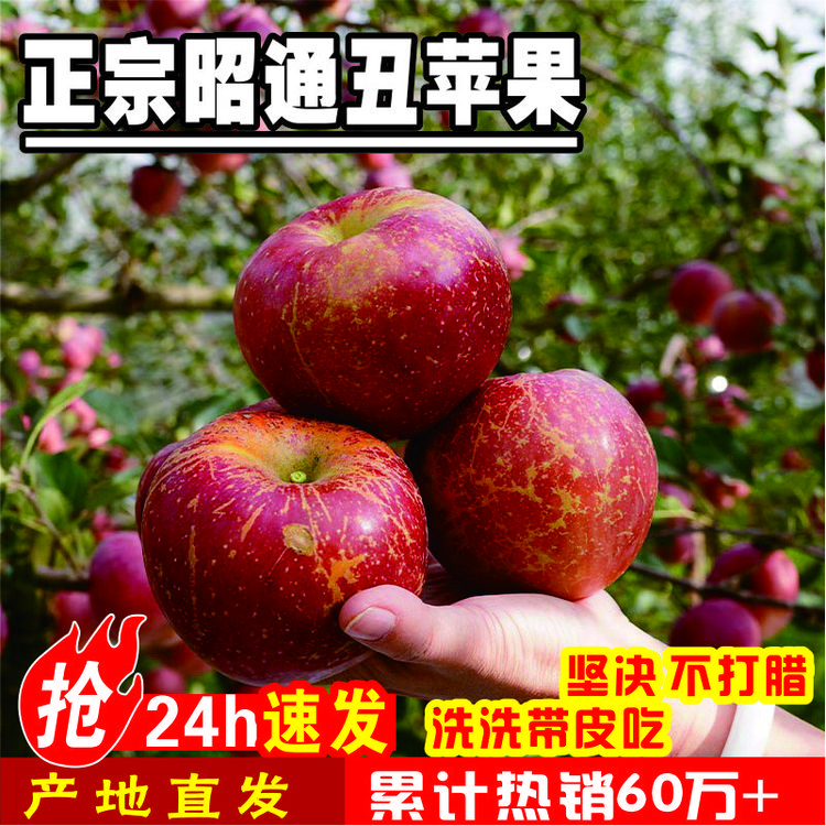正宗云南昭通冰糖心丑苹果产地直发脆甜多汁露天种植高海拔红富士商品图
