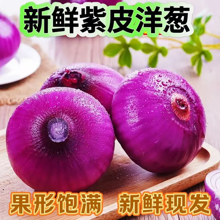 新鲜现挖紫皮水果洋葱可生吃脆甜微辣炒菜凉拌蔬菜