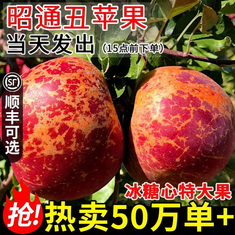 地道云南昭通丑果产地直供鲜嫩多汁清甜爽口的红露新鲜采摘即