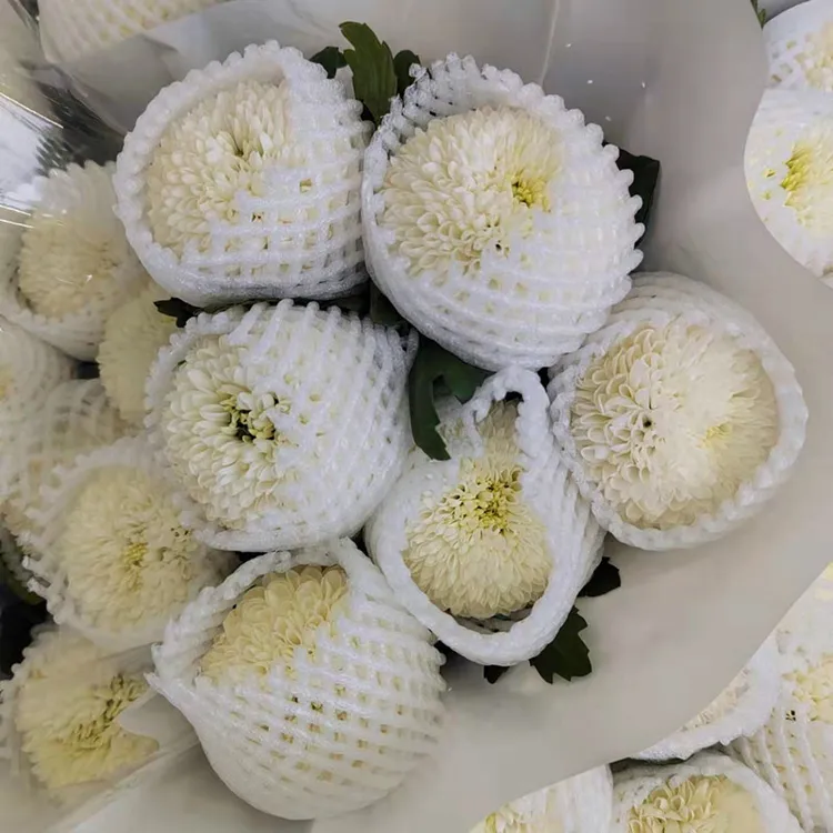 时令云南昆明乒乓菊鲜花批发花店婚庆用花家庭插花水养花菊花鲜切