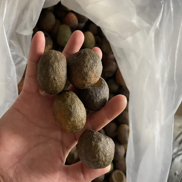 浦北陈皮 2025年（全生晒小青柑）香气足1斤