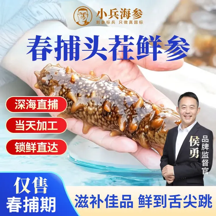 小兵海参 海参618活动【买2送1】鲜食海参 春参滋补深海底播刺参