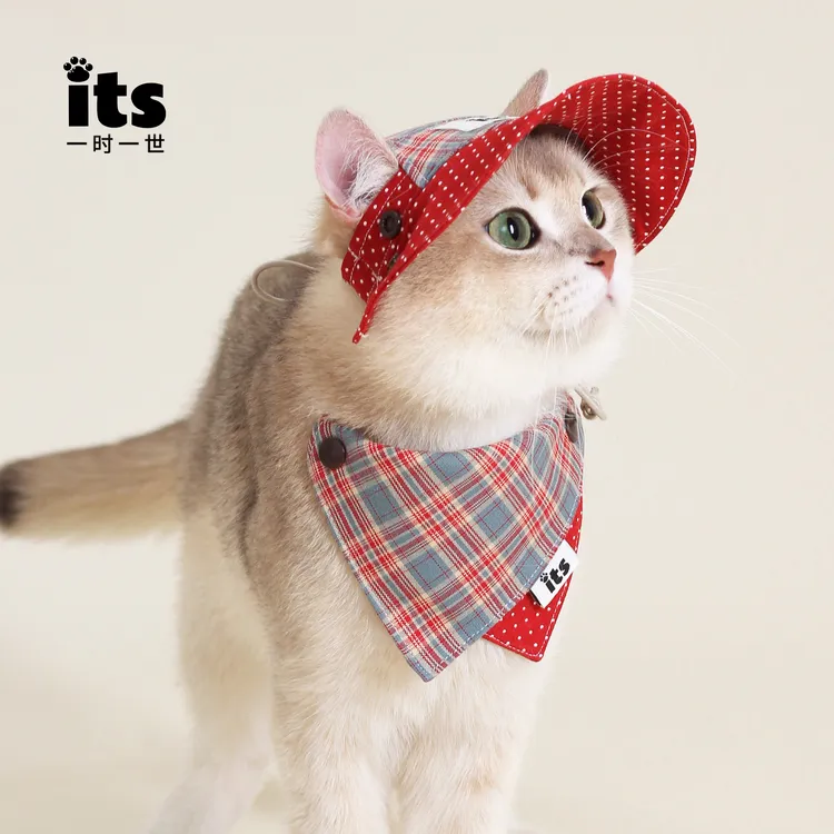 its一时一世·宠物帽子狗狗猫咪户外防晒遮阳帽大型犬时尚帽子可调