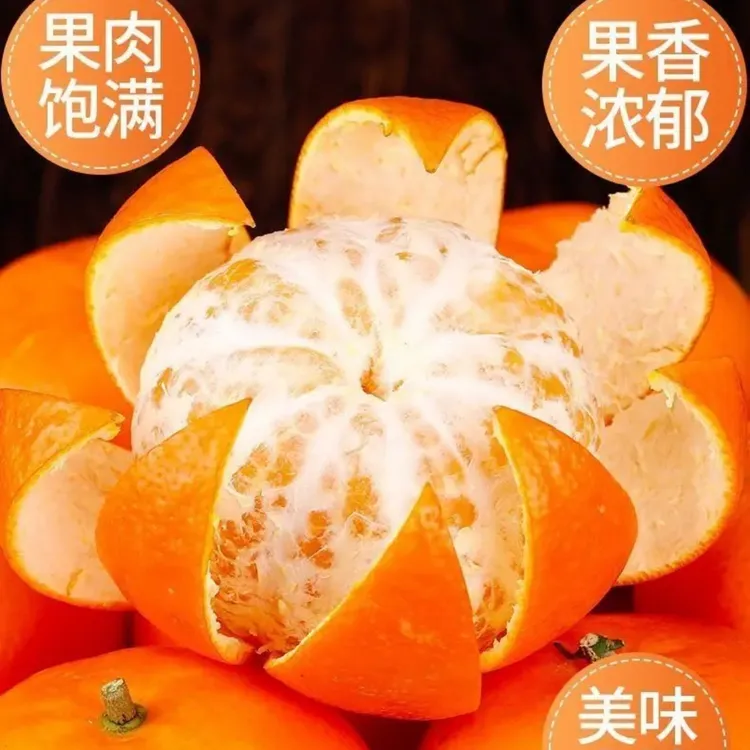 【正宗】江西赣南脐橙冻橙秭归早红脐橙现摘应季多汁现摘现发