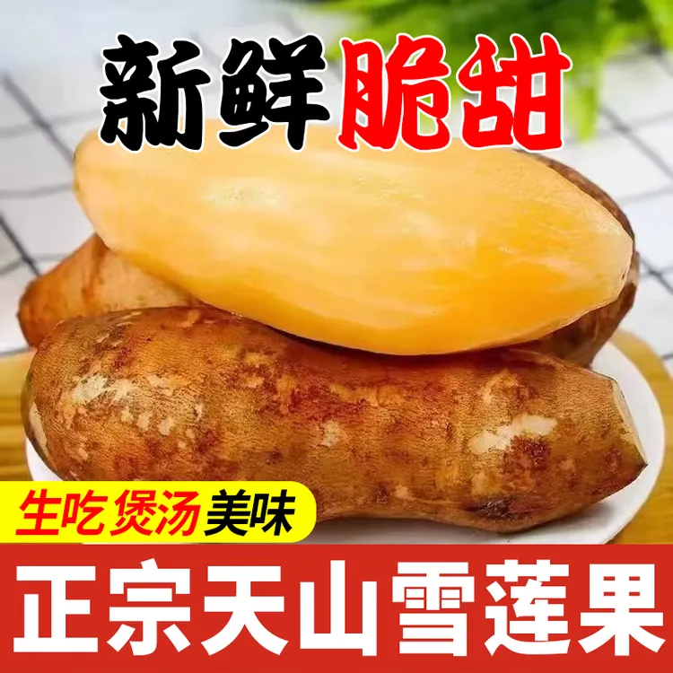 现货速发云南天山雪莲果现挖脆甜多汁应季新鲜水果产地直发雪连果