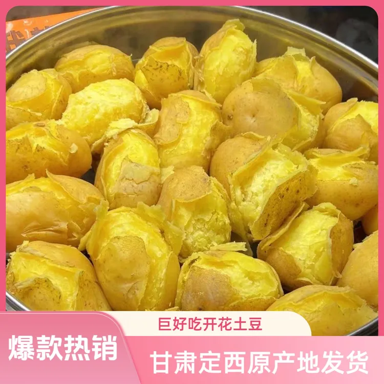 甘肃定西土豆9斤现挖沙地黄心洋芋马铃薯黄皮5斤沙面细腻新鲜蔬菜