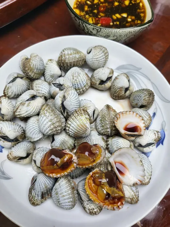 三门本地血蛤血活蛤贝类水产海鲜大血蛤鲜活