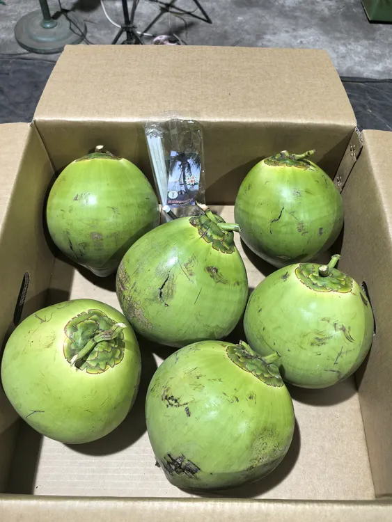 （源头产地）海南文昌新鲜带皮椰青现摘现发带果酸当季特产椰子