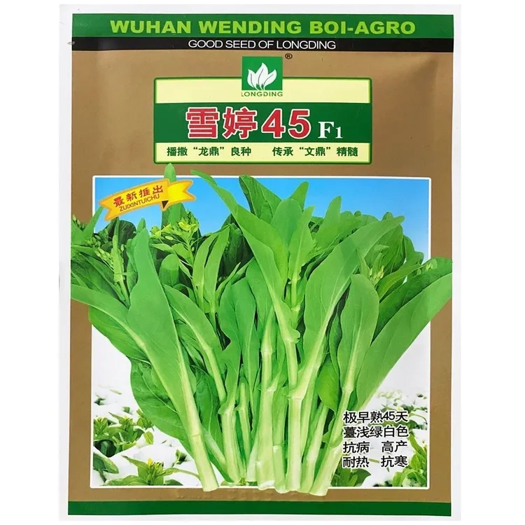 【高产耐热】特惠雪婷45天白菜苔种子极早熟白菜苔籽抗病耐热耐寒