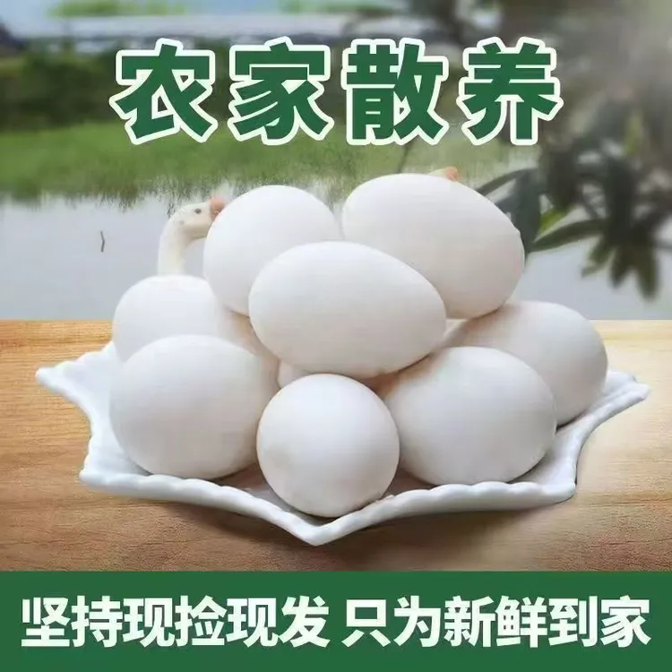 【拍10枚送10枚】雁鹅蛋农家散养土雁鹅蛋散黄臭蛋包退80g左右z