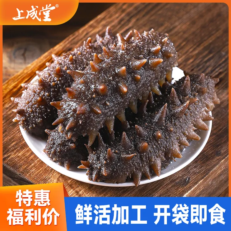 上成堂【顺丰包邮】 大连鲜食即食海参1斤装共约10-12根 大连直发