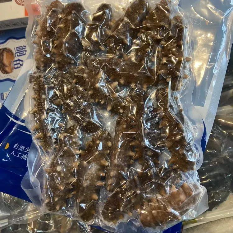 大连即食海参一斤装15只左右高品质劲道有嚼劲