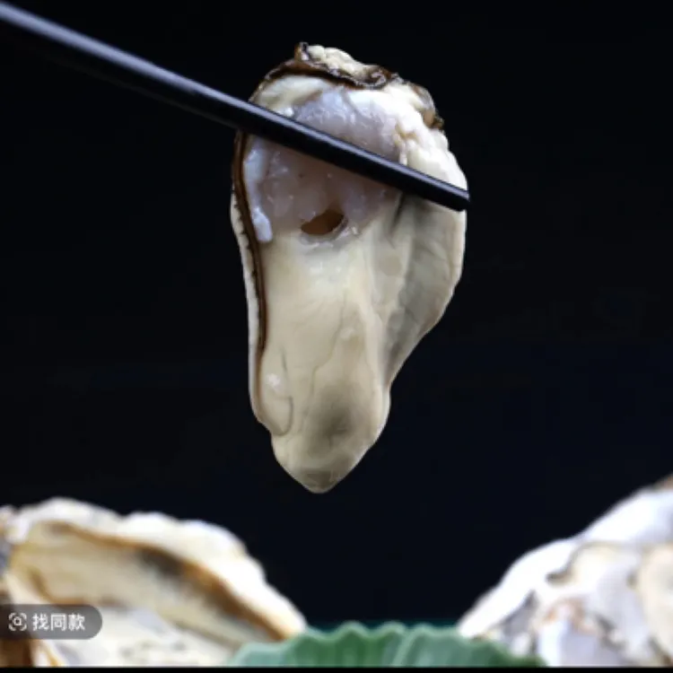 （中号2/3斤生吃）大连杏树海蛎肉生蚝肉新鲜当天捕捞顺风发货