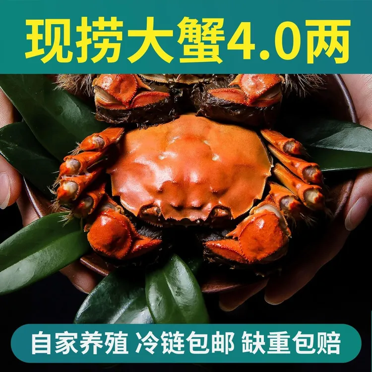【活蟹】鲜活大闸蟹螃蟹3-3.5两/只4公4母公礼盒装
