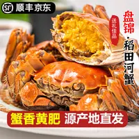 明天到【活公母蟹】盘锦河蟹母蟹0.8-1.1两/只 公蟹1.0-1.3两/只 12只送12只共发24只童小二TY1