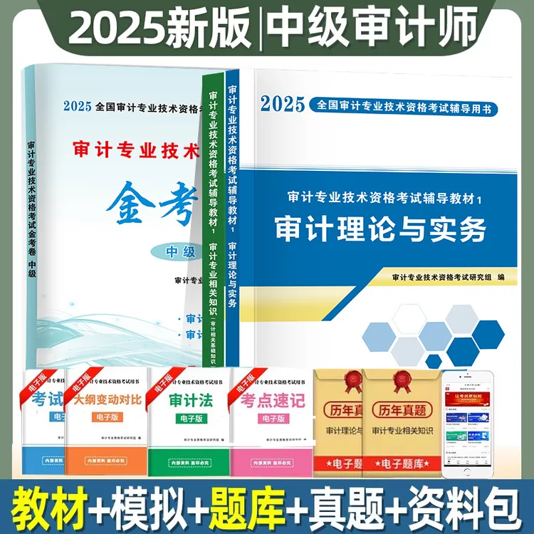 备考2025新版中级审计师考试辅导用书教材试卷 审计理论与实务